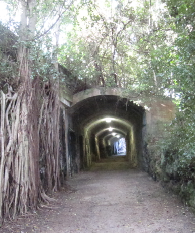 Bermuda Railway Trail
