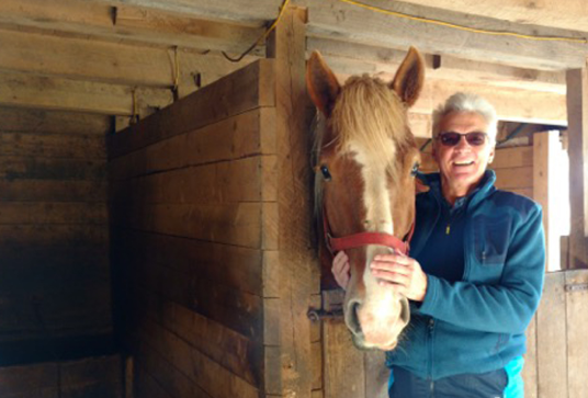 Eric and Belgian Draft Horse Jim Bob